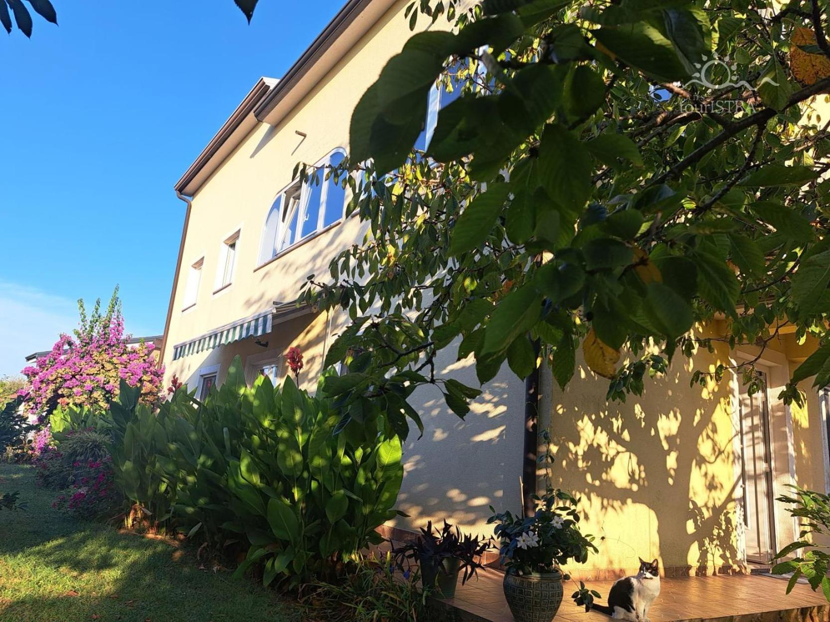Bozica House With Apartments Murine Экстерьер фото